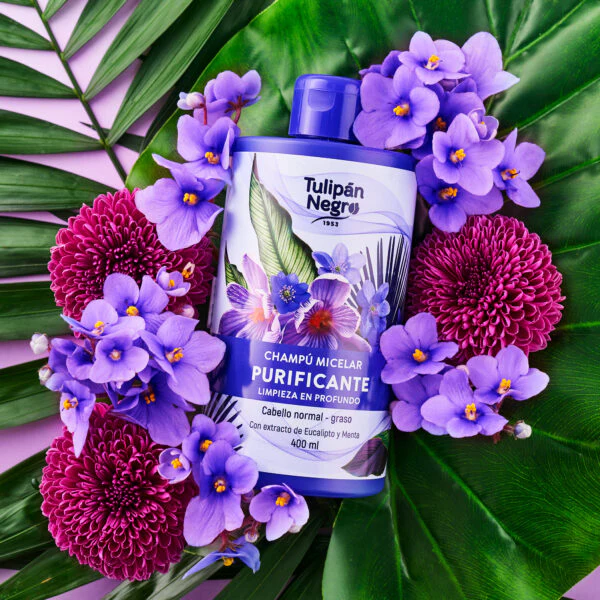 Champú Micelar Purificante - Tulipán Negro - Image 4