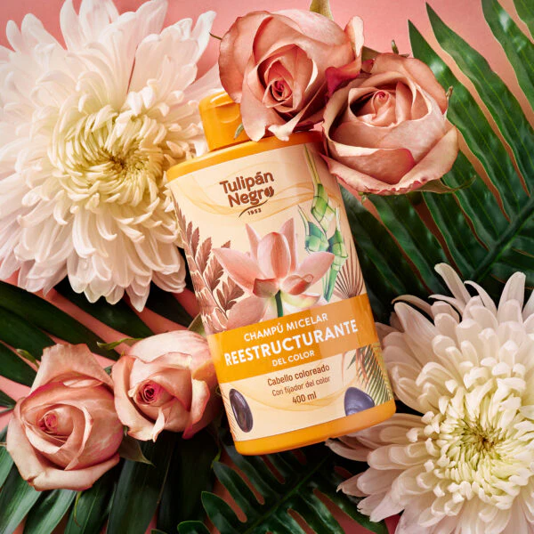 Champú Micelar Reestructurante Del Color - Tulipán Negro - Image 4
